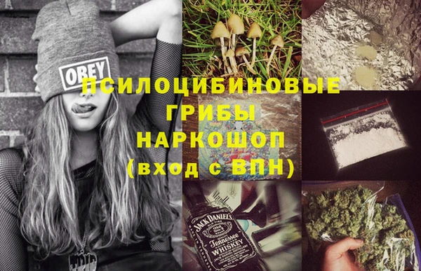 крисы Кинешма