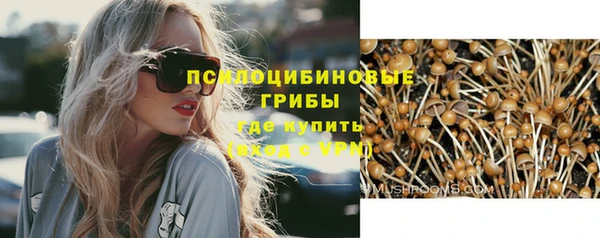 крисы Кинешма